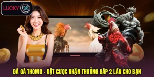 Đá Gà Thomo - Đặt Cược Nhận Thưởng Gấp 2 Lần Cho Bạn
